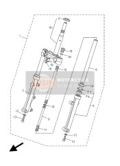 Forcella anteriore